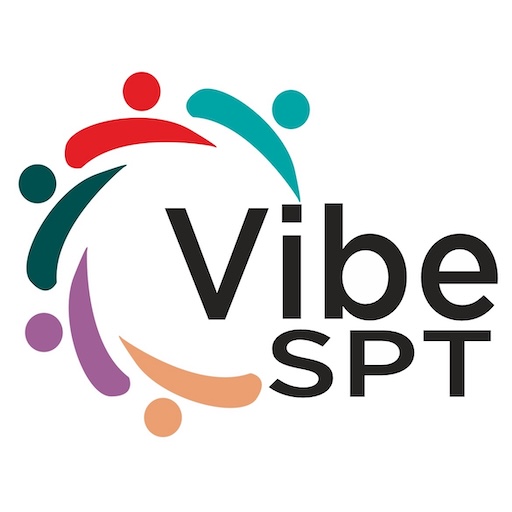 VibeSPT