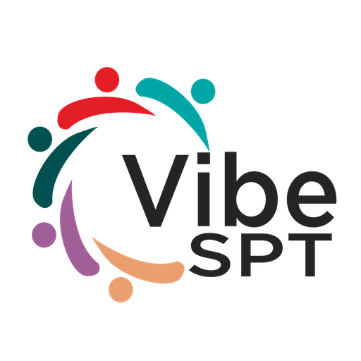 VibeSPT logo
